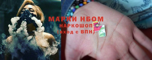 индика Володарск
