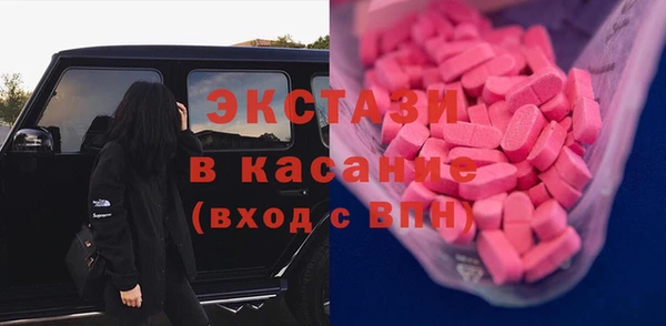 индика Володарск