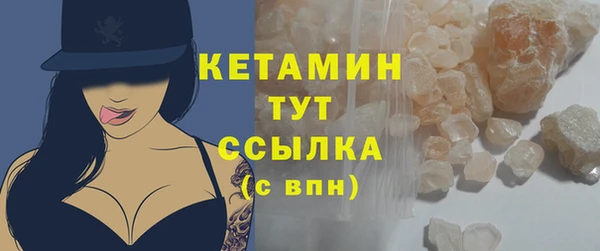 индика Володарск