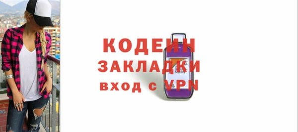 индика Володарск
