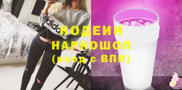 индика Володарск