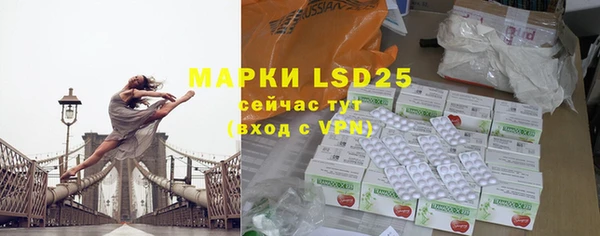 индика Володарск
