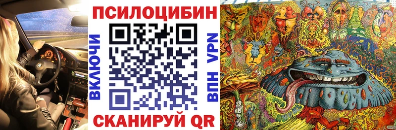 Галлюциногенные грибы GOLDEN TEACHER  как найти   Калач 