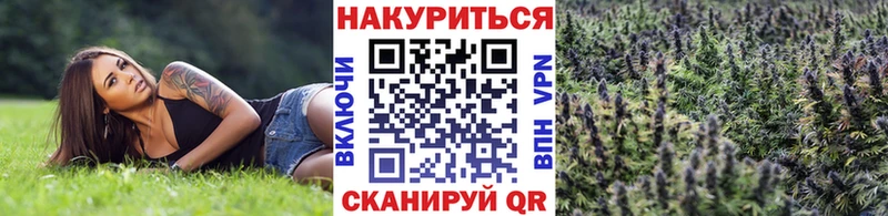 МАРИХУАНА планчик  Калач 